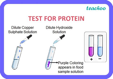 Test for Protein .